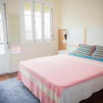 Bruma Albergue Ponta Delgada