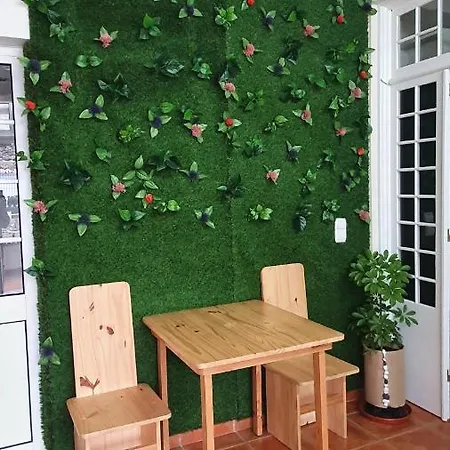 Bruma Vandrarhem Ponta Delgada