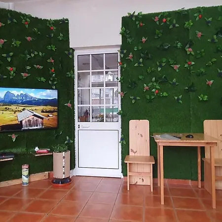 Bruma Vandrarhem Ponta Delgada