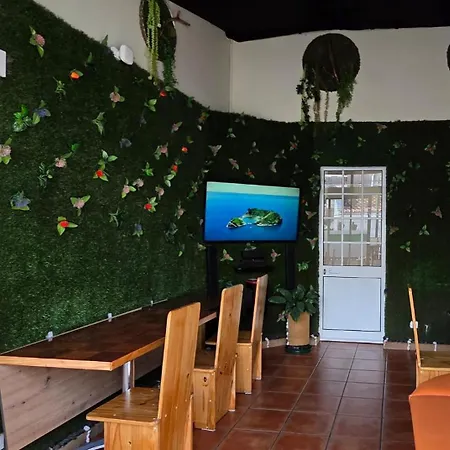 Bruma Πόντα Ντελγκάντα