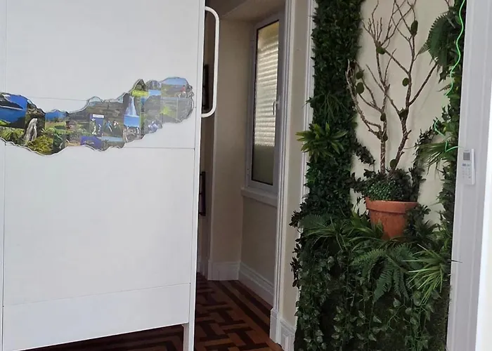 Bruma Πόντα Ντελγκάντα